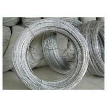 Cheap Q195 Electro Galvanized Binding Iron Wire